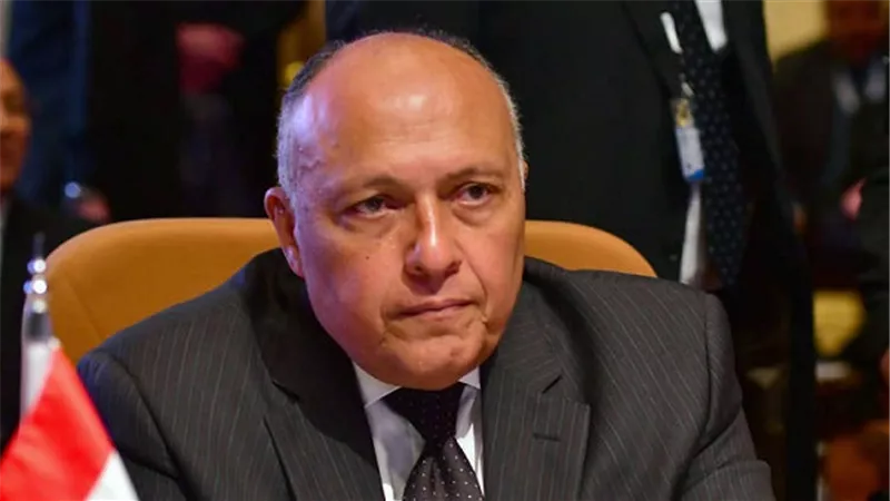 وزير الخارجية يصف إعلان بكين وخطة العمل 