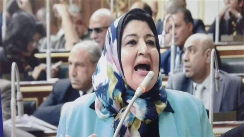 برلمانية: ما يحدث مع النائب محمد فؤاد لا يليق بحزب الوفد