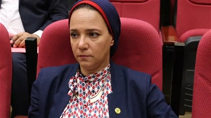 النائبة نانسي نصير: إغلاق مقر منظمة التحرير الفلسطينية في واشنطن له عواقب سياسية دولية 