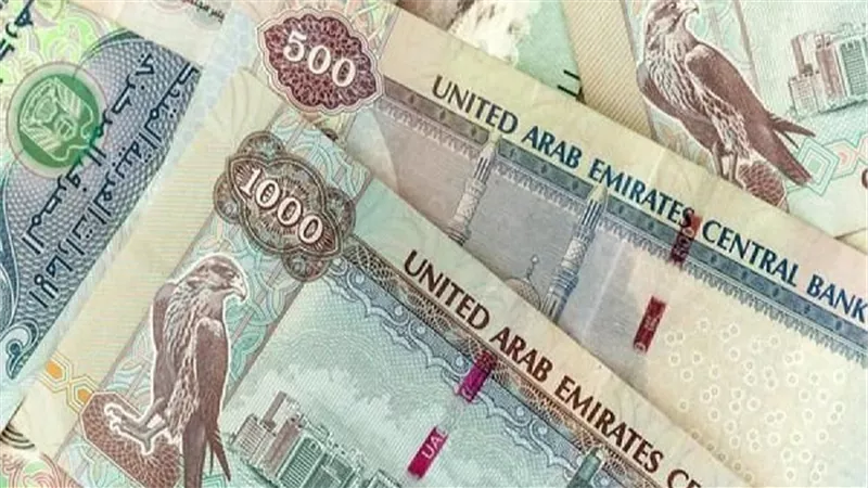 ارتفاع تحويلات المصريين بالإمارات إلى 2.4 مليار درهم خلال الربع الثاني من 2018