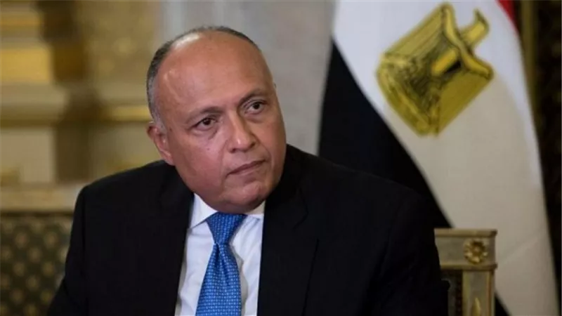 وزير الخارجية يناقش جهود حل الصراع الفلسطيني ــ الإسرائيلي في اتصالٍ هاتفي مع نظيره الأيرلندي 