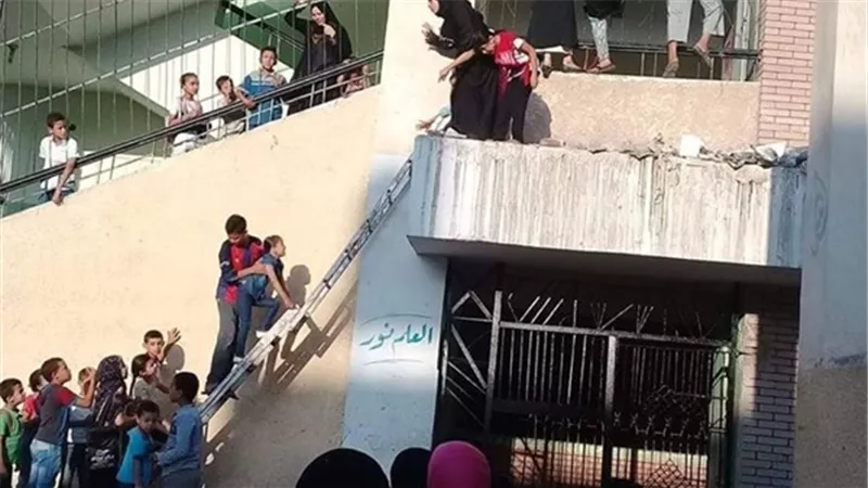 مشاهد 