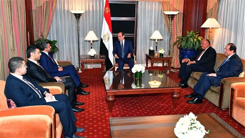 الرئيس السيسي يستقبل وزير خارجية الإمارات