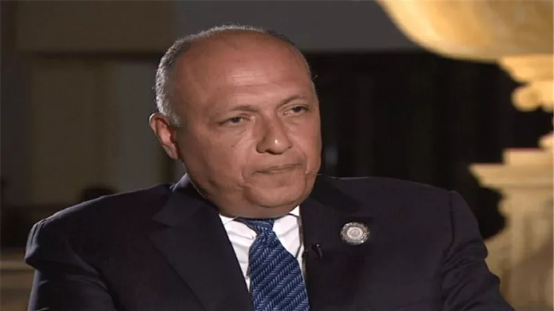 وزير الخارجية: زيارة السيسي لنيويورك تحمل شقا اقتصاديا مهما