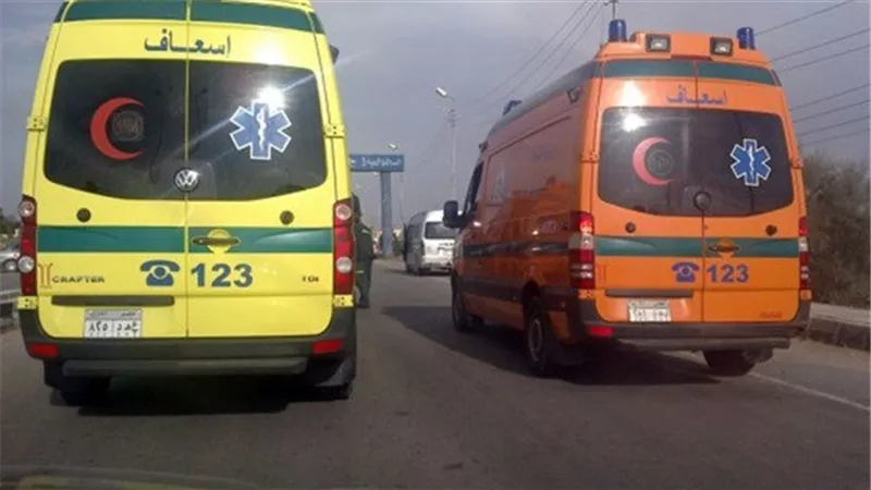 تسمم 8 اشخاص لتناولهم خيار ملوث بمبيد حشري بالدقهلية