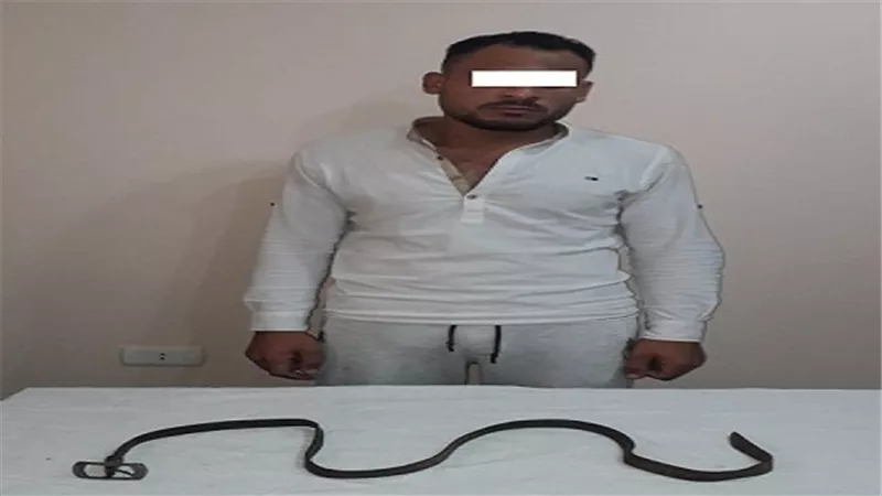 ضبط مرتكب واقعة مقتل ربة منزل بمسكنها