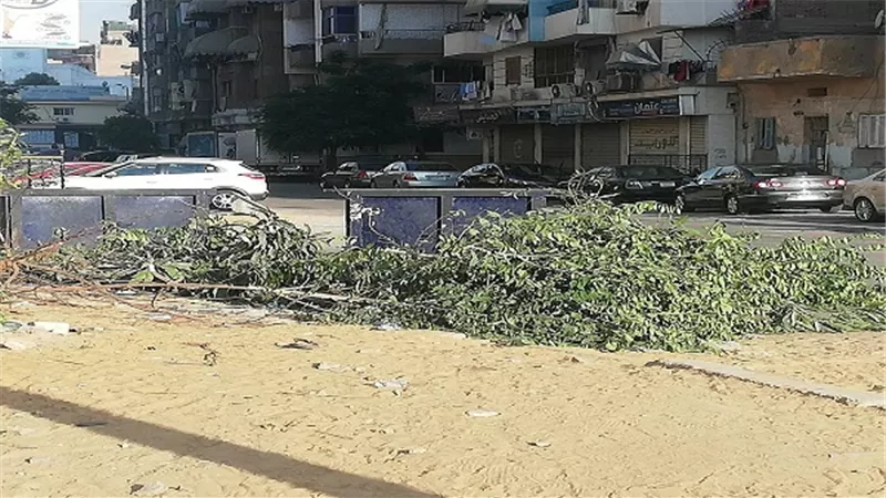 مدير مدرسة بالسويس يتوعد رئيس الحى ان لم يتم رفع القمامة سيقوم بنقلها امام الحى