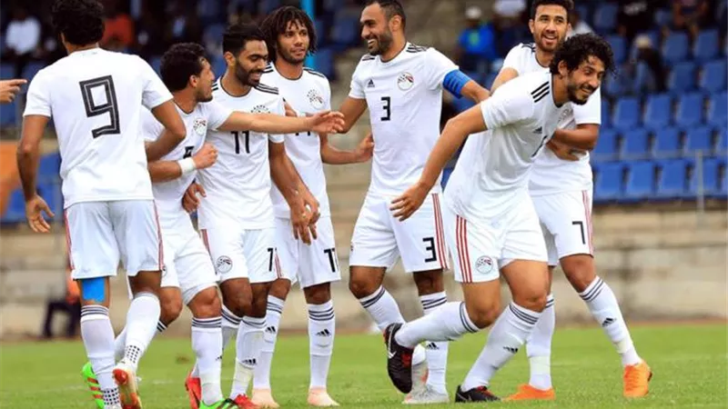 بعد فوز الفراعنة ونسور قرطاج.. هنا ترتيب تصفيات أمم أفريقيا 2019.. تعرف على المتأهلين والمودعين