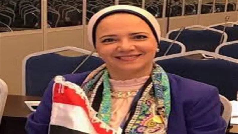 غدا.. محافظ السويس فى البرلمان لعرض اهم القضايا ومشاكل المحافظة