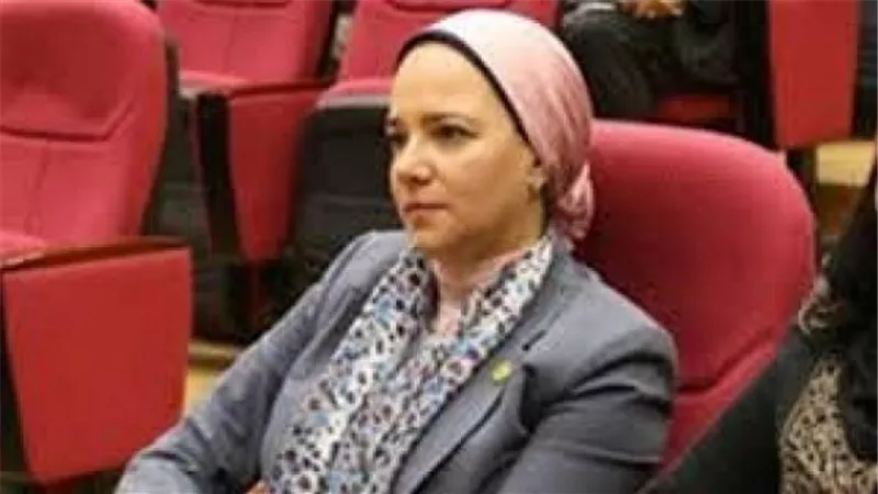 نائبة برلمانية: استياء عام من جانب النواب لتجاهل محافظ السويس الحضور للمجلس