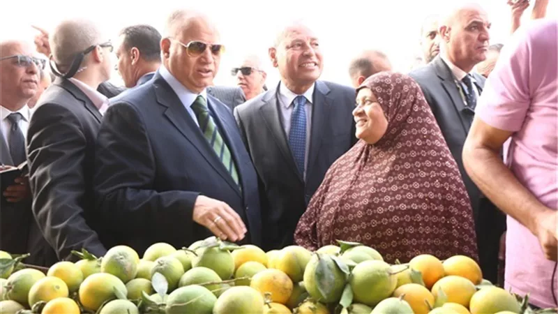 محافظ القاهرة يتفقد منافذ بيع الخضروات والفاكهة لمحاربة الغلاء بأحياء المطرية والسلام