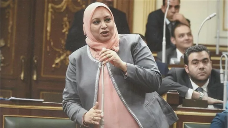 برلمانية: الحكومة بدأت إتخاذ خطوات لحل مشكلة التسويات للموظفين الحاصلين على مؤهلات عليا أثناء الخدمة