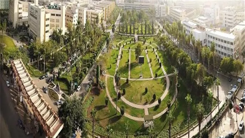 جامعة المنصورة تتألق في الأبحاث العلمية المنشورة في مجلة النيتشر 