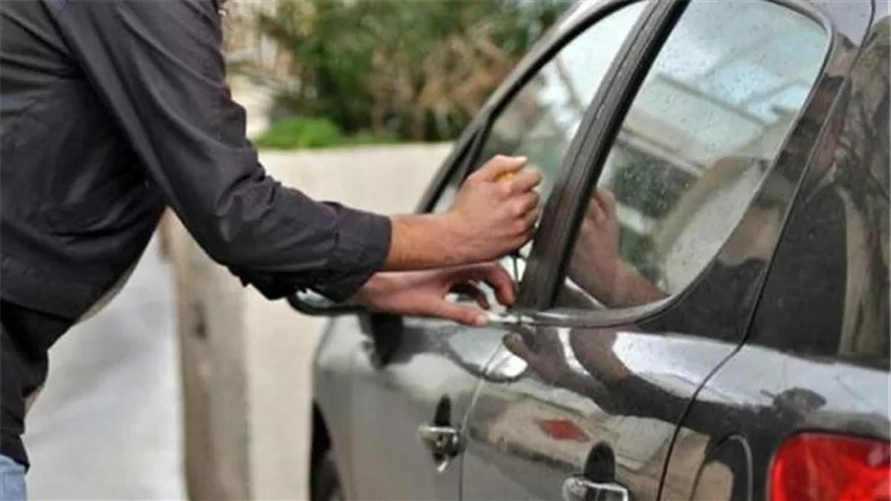 ضبط عاطلين بالدقهلية سرقوا سيارة من رأس البر 