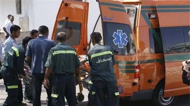 اصابة طفل بكسور ونزيف داخلي اثناء لهوه بميت غمر محافظة الدقهلية