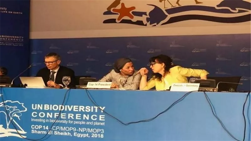 مناقشة دور التعاون الإقليمي في أجندة التنوع البيولوجي ما بعد 2020 