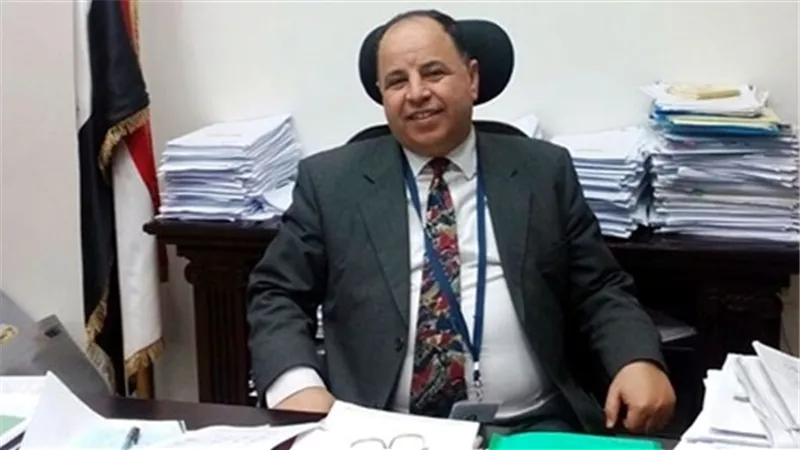 وزير المالية: تعديلات على قانون المشاركة مع القطاع الخاص PPP لتدعيم دور القطاع الخاص فى التنمية