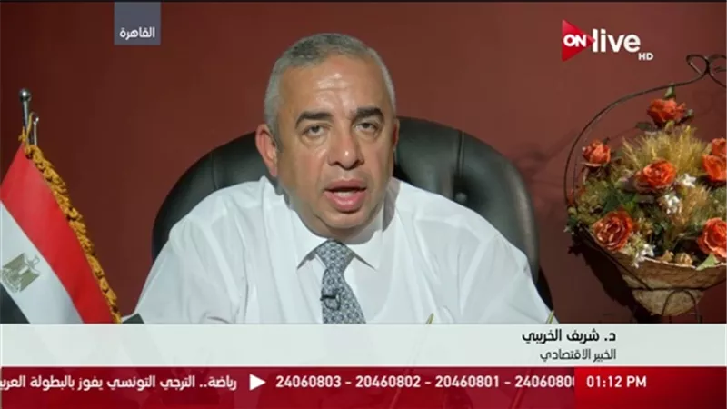 خبير أقتصادى: علاقة مصر بافريقيا عادت بقوة بعد عامين من حكم الرئيس السيسي