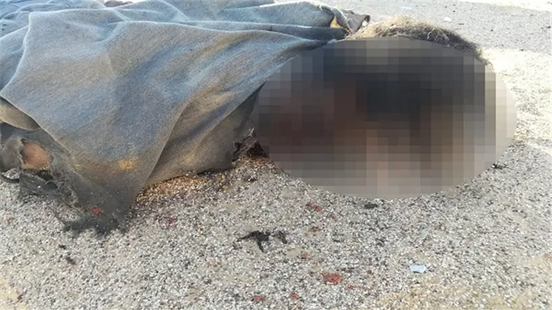 بالصور.. تفاصيل جديدة بشأن حادث دير الأنبا صموئيل الإرهابي 