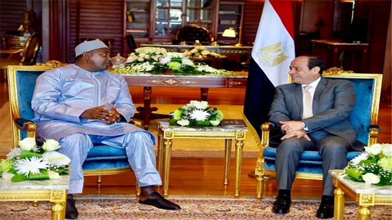 الرئيس السيسي يستقبل رئيس جامبيا