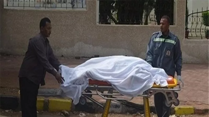 مصرع عامل صعقاً بتيار كهربائي داخل حظيرة مواشي بالدقهلية 