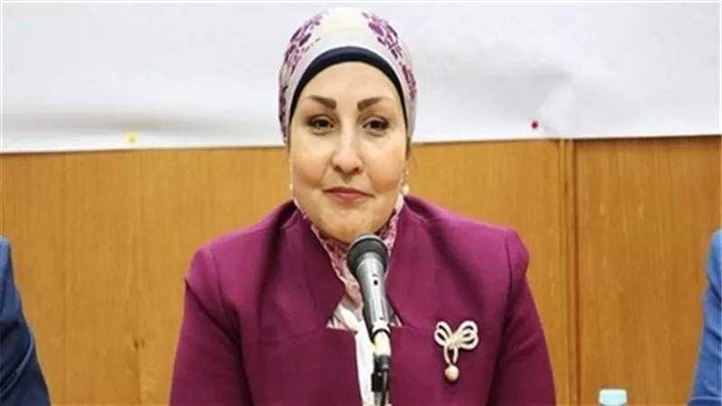 برلمانية: هناك توجه من الدولة لدعم المشروعات الصغيرة والمتوسطة