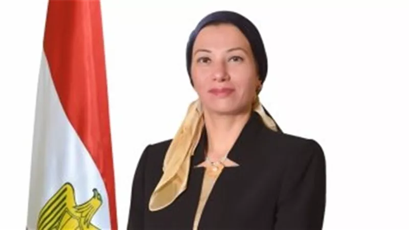 فؤاد تلتقى بالسكرتيرة التنفيذية لاتفاقية تغير المناخ للخروج بنص عادل متوازن يراعى مصالح الدول النامية