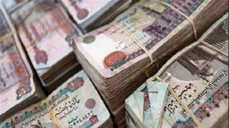 حبس موظفين استولوا على 15 مليون جنيه من شركة سيارات شهيرة بأبورواش