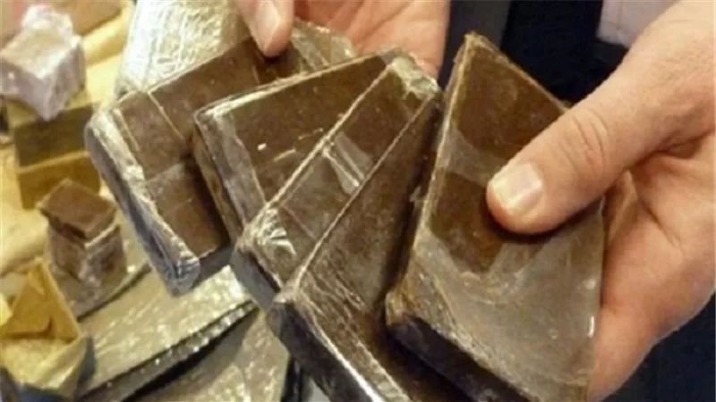 ضبط عاطل بحوزته 25 قطعة حشيش فى البساتين