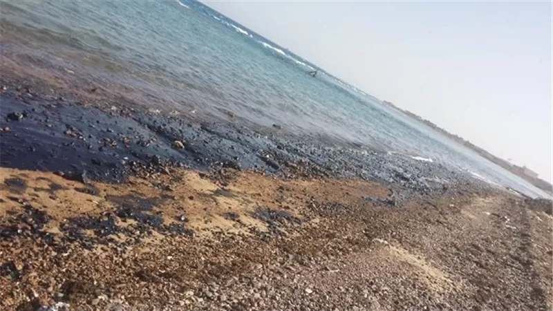 لجنة عاجلة من البيئة لبحث تلوث زيتي برأس غارب