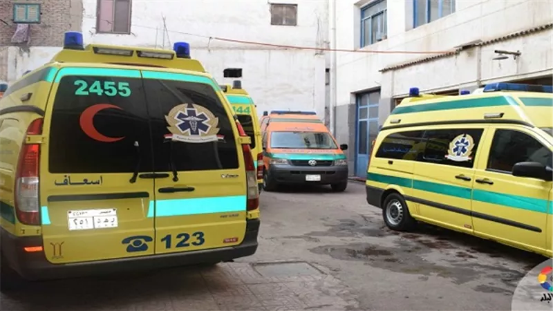 مصرع عامل بسبب اصطدامه بسيارة نقل بالدقهلية 