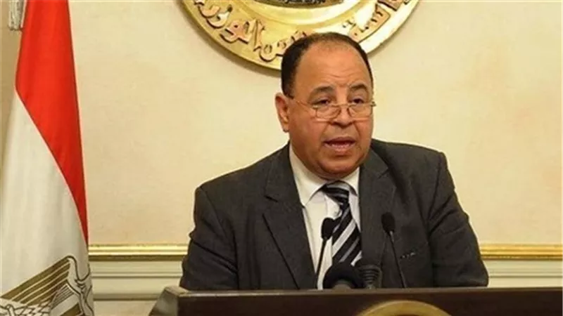«المالية»: 3 لجان لحل مشكلات الجمارك وضرائب الدخل والقيمة المضافة