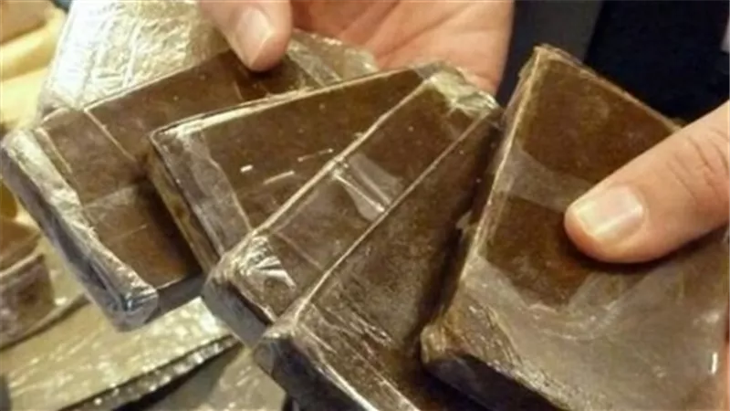 ضبط 2 طربة حشيش بحوزة عاطل بالغربية