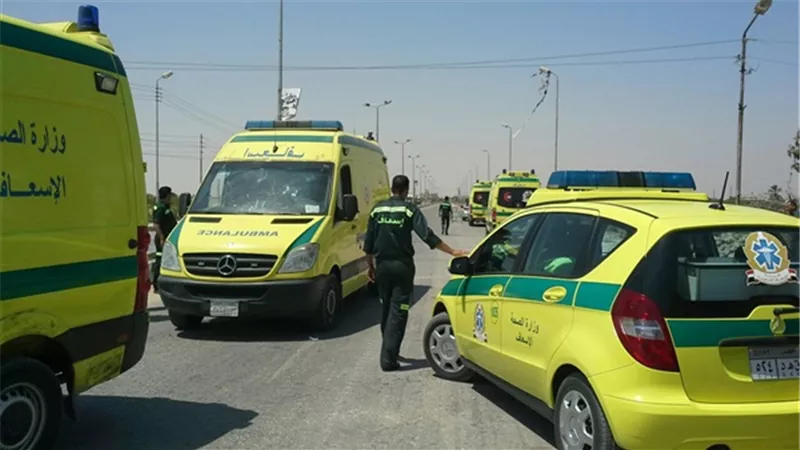 مصرع طفلة دهستها سيارة بطريق فيشا سليم بطنطا