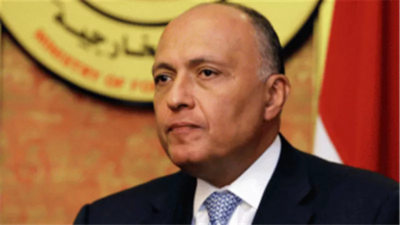 وزير الخارجية يعقد جلسة مباحثات مع نظيره الأمريكى