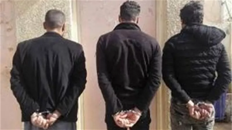ضبط 3 عاطلين كونوا تشكيلا عصابيا للنصب على أصحاب الشركات