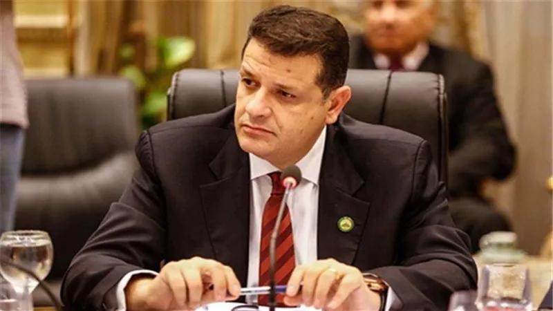 برلمانى: توقيع مزيد من الاتفاقيات بين مصر ودول افريقيا 