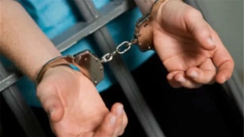 القبض على عاطل يقوم بخطف هواتف المحمول بالبساتين