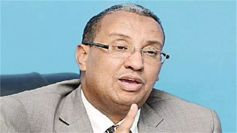 الغندور: تم تسكين 77 أسرة اثر سقوط صخرة منشية ناصر