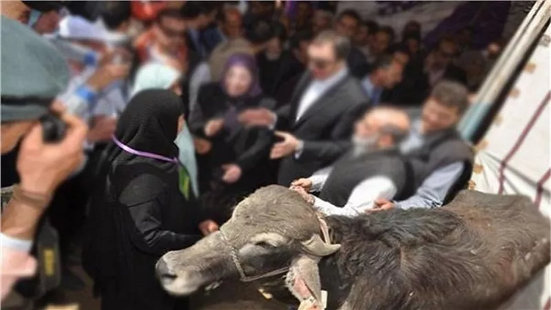 الأحد.. الزراعة تشارك في توزيع 