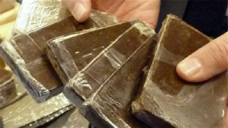 ضبط 30 لفافة هيروين و50 قرص مخدر بحوزه عاطلين بالغربية