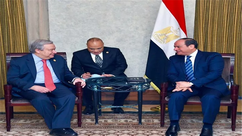 بسام راضي: الرئيس السيسي يلتقي بـ 