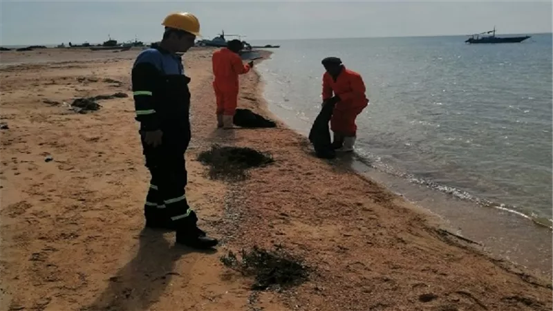 البيئة: السيطرة على التلوث الزيتي بالطور في أقل من 24 ساعة