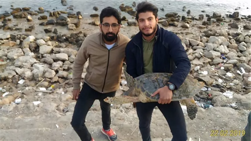 صاحب محل سمك بالسويس يعيد سلحفاة بحرية إلى بيئتها الطبيعية 