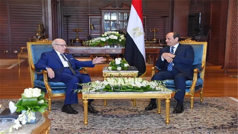 الرئيس السيسي يستقبل رئيس الجمهورية التونسية