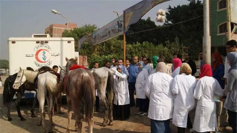 حملات بيطريه بالمجان على قرى ومراكز الدقهلية.. غداً