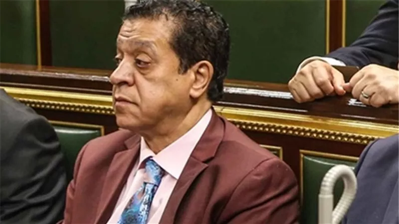 برلمانى: العرض الاستعراضي الصيني بالاهرامات دعاية مجانية للسياحة  