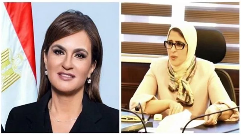 وزيرتا الاستثمار والتعاون الدولى والصحة يبدأ زيارة إلى تشاد