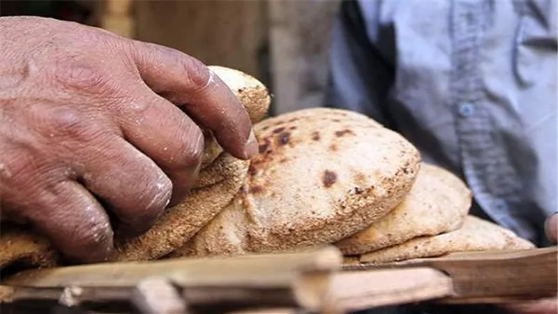 وزارة التموين تنفى استبعاد مستحقي الدعم من منظومة نقاط الخبز