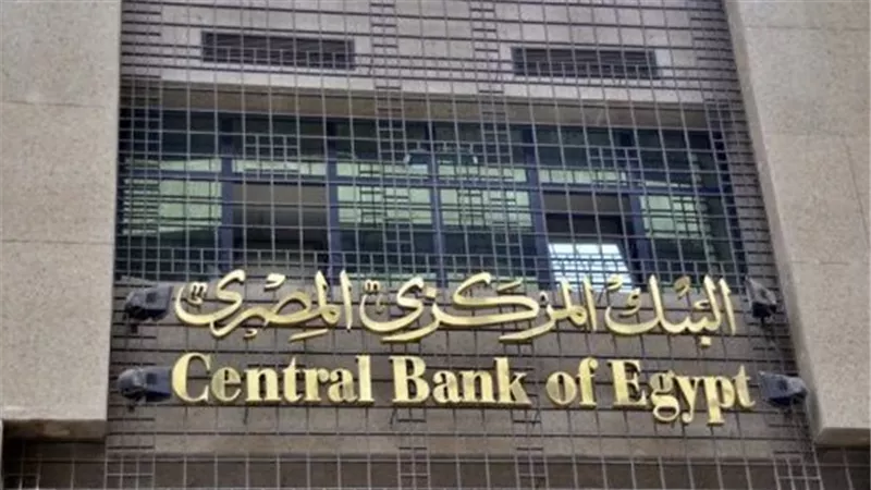 مناشدة للبنك المركزي بتخصيص ٨٠ مليار جنية للمشاريع متناهيه الصغر